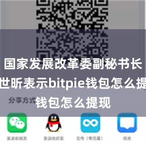 国家发展改革委副秘书长张世昕表示bitpie钱包怎么提现