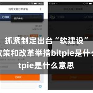 抓紧制定出台“软建设”配套政策和改革举措bitpie是什么意思