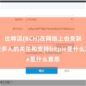 比特派(BCH)在网络上也受到了很多人的关注和支持bitpie是什么意思