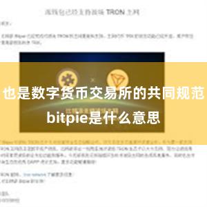 也是数字货币交易所的共同规范bitpie是什么意思