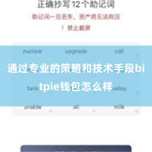 通过专业的策略和技术手段bitpie钱包怎么样